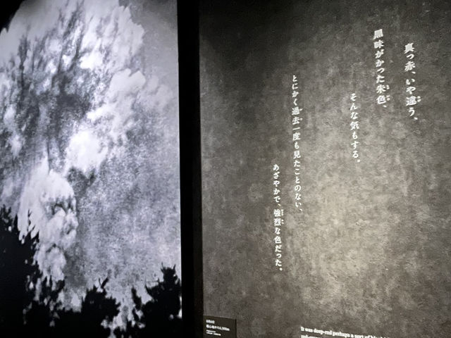 ✅🕊️広島平和記念資料館 攻略ガイド 🌍✨