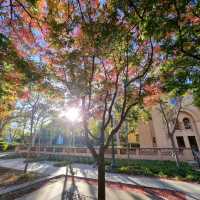 Exploring Stanford University: A Must-Visit Destination