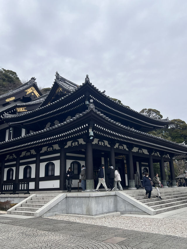探索鎌倉長谷寺🌿 觀音菩薩與弁天窟的神秘魅力