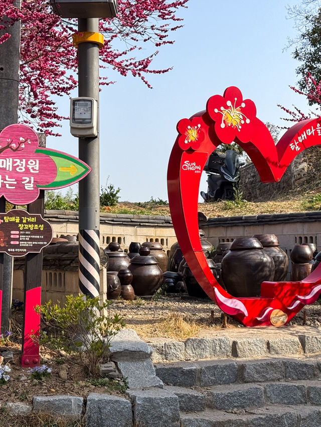 봄에 꼭 가야할 홍매화 명소 추천 ‘탐매마을’