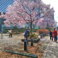 錦町公園