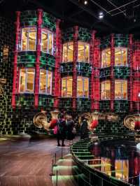 An Amazing Experience for Harry Potter Fans!