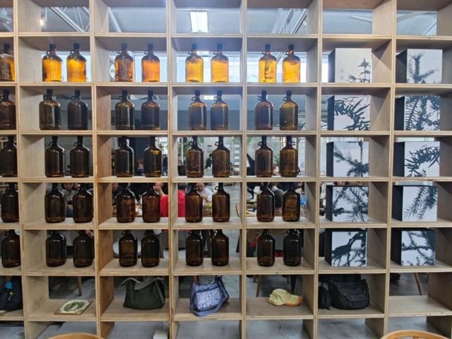 我在梅山呼吸空氣#空氣圖書館-嘉義梅山