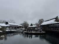 銀白世界的忍野八海
