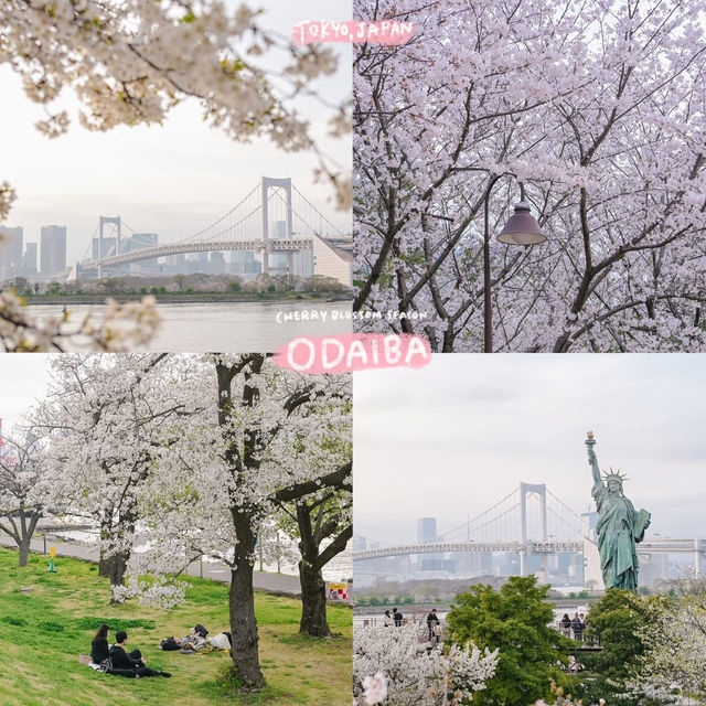 4 พิกัดชมซากุระที่ 'โตเกียว' 🌸🗼
