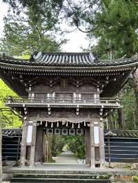 【石川×那谷寺】朱色の鮮やかな華王殿 両脇のしだれ桜が素晴らしい