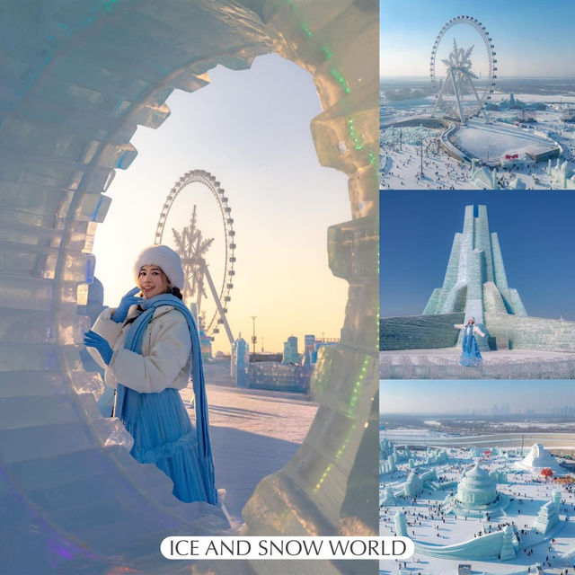 Harbin Mini Guide ⛄️🫧 Harbin Mini Guide ⛄️🫧