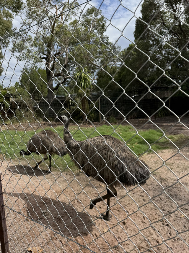 Caversham wildlife park