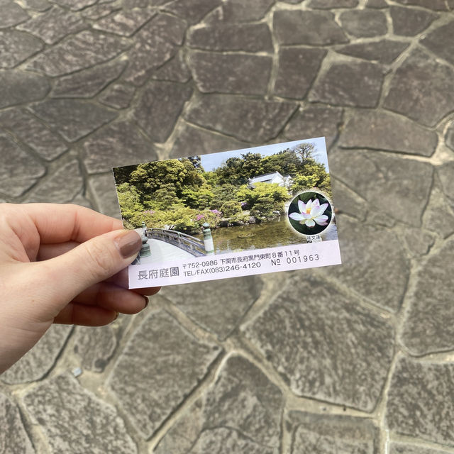 【山口県下関市🇯🇵長府庭園】歴史に触れながら庭園散歩☺️