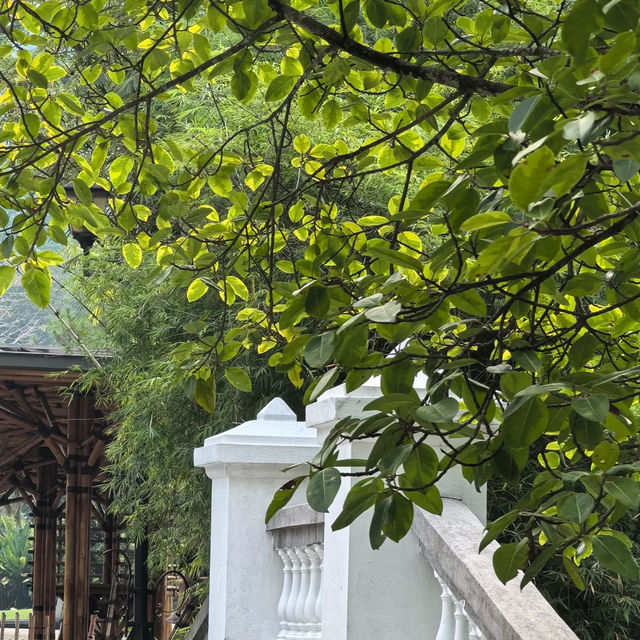 裕廊湖花園•熱帶奇花異卉