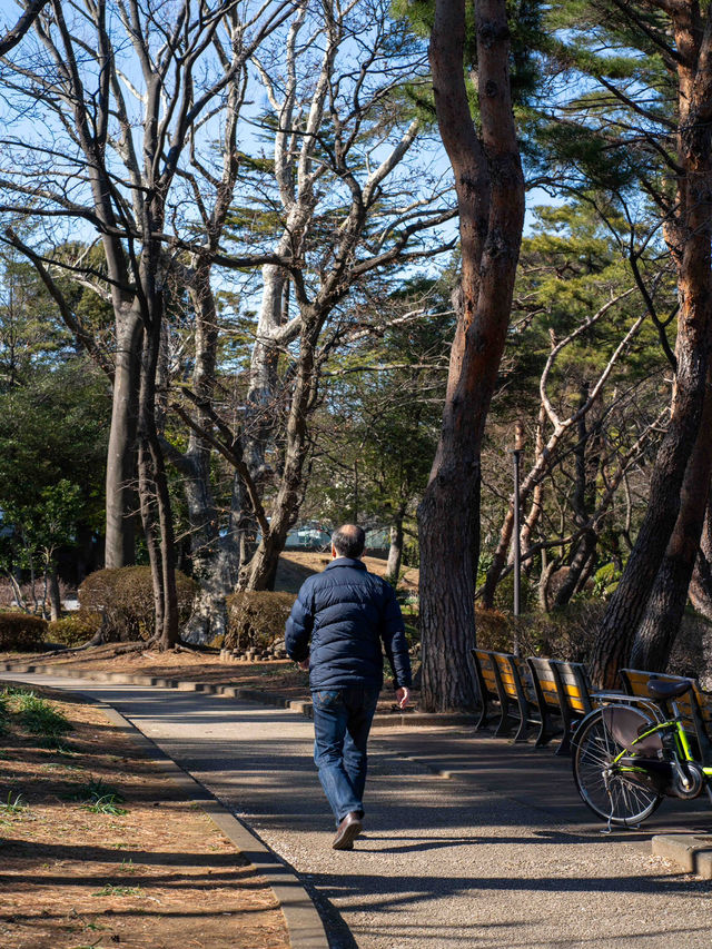 千葉公園で緑を楽しむ🌳