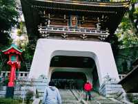 日本千葉縣成田市旅遊攻略，適合打卡拍照📸