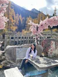 Dagu Glacier ไปดูธารน้ำแข็งอายุน้อยที่สุดกัน ❄️