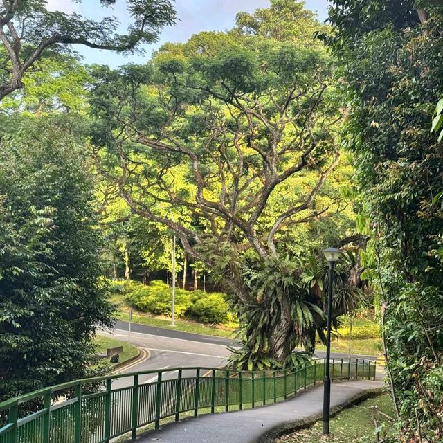 Southern Ridges