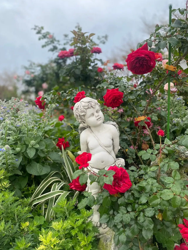 Taipei Rose Garden