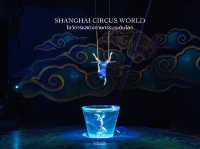 🕺 มาเที่ยวเซี่ยงไฮ้ห้ามพลาด Shanghai Circus World