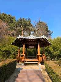 🌲🍂강원도 강릉 여행지 명소 강릉 오죽헌 