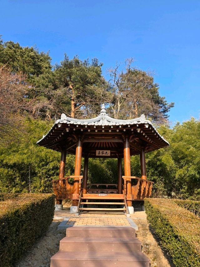 🌲🍂강원도 강릉 여행지 명소 강릉 오죽헌 