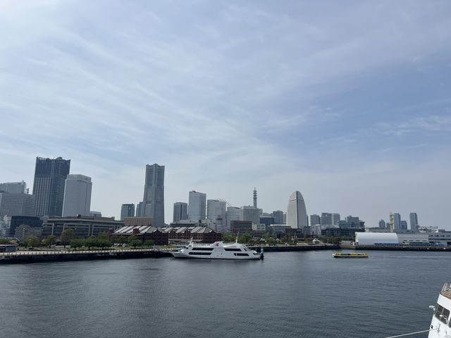 横浜🇯🇵くじらのせなか