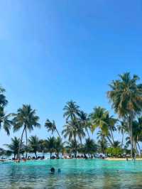 Maldives Magic: Paradise Found on Earth