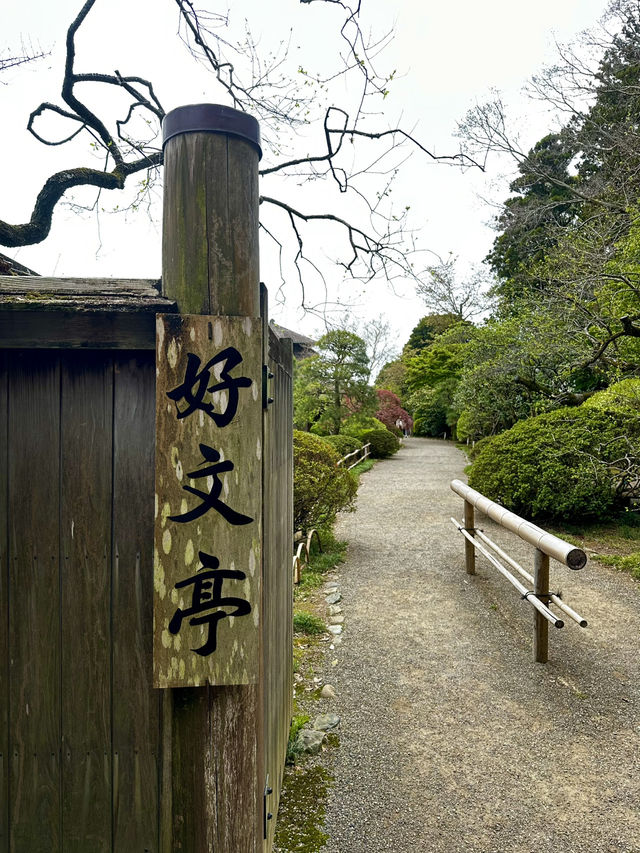 日本三名園　偕楽園