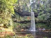 🌿 Maliau Basin: The Lost World Adventure You NEED to Try! 🦎