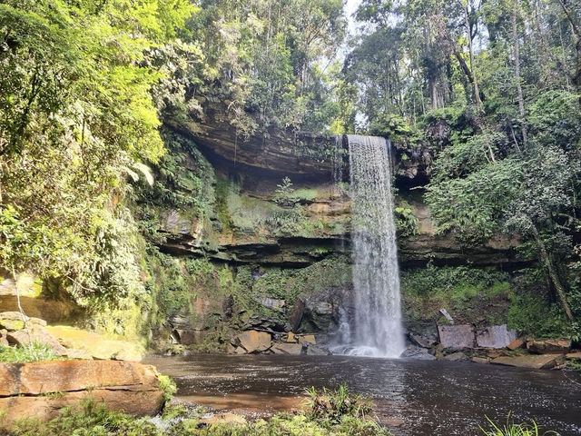 🌿 Maliau Basin: The Lost World Adventure You NEED to Try! 🦎