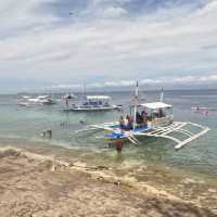 【フィリピン セブ島】モアルボアル