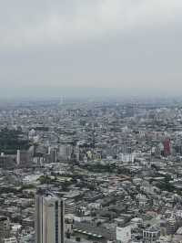 🗼 도쿄 긴자-시부야 필수 코스 추천 ✨ 도쿄 감성 제대로 느끼는 하루 코스 💡