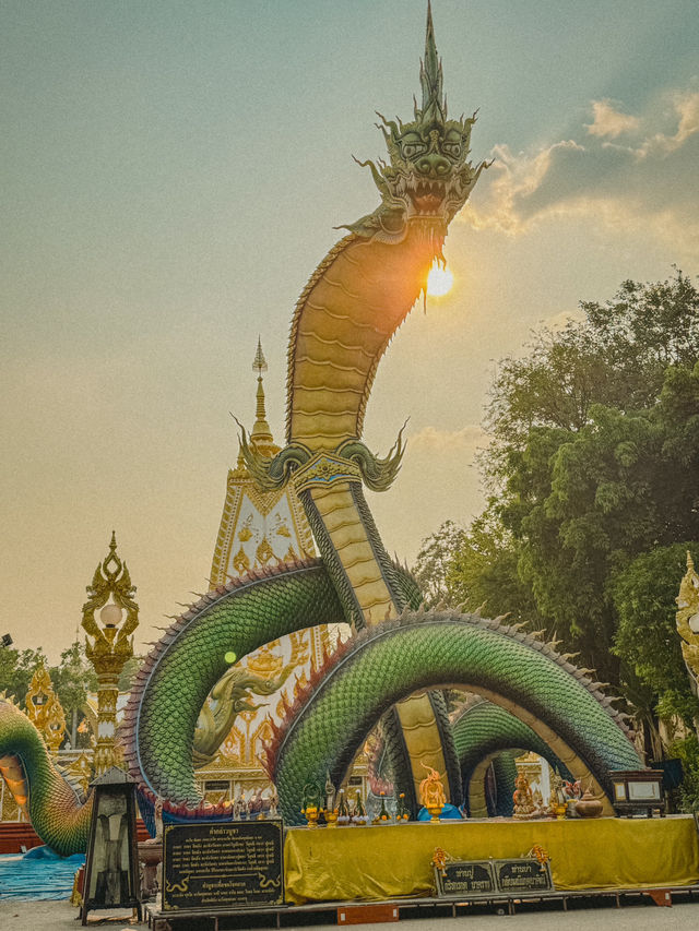 วัดพระธาตุหนองบัว | อุบลราชธานี