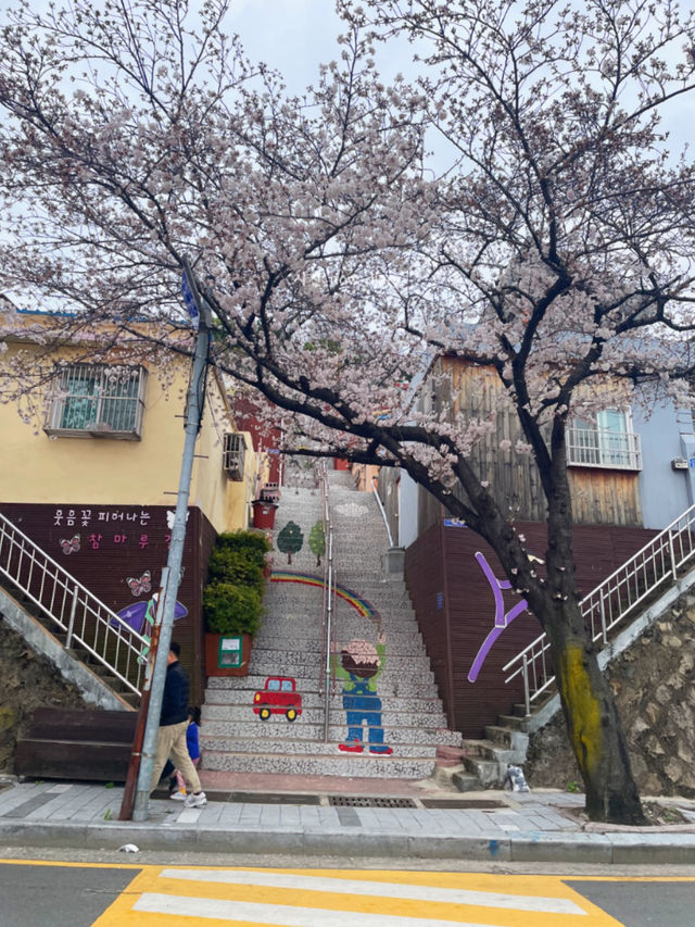 부산이 처음이신가요?