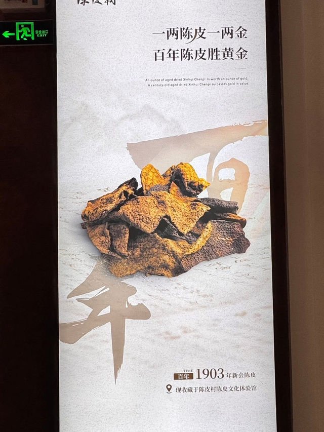 新會陳皮村❣️特色景點🤩了解陳皮精製過程