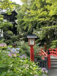 【埼玉×熊谷】境内にある平和の塔と紫陽花