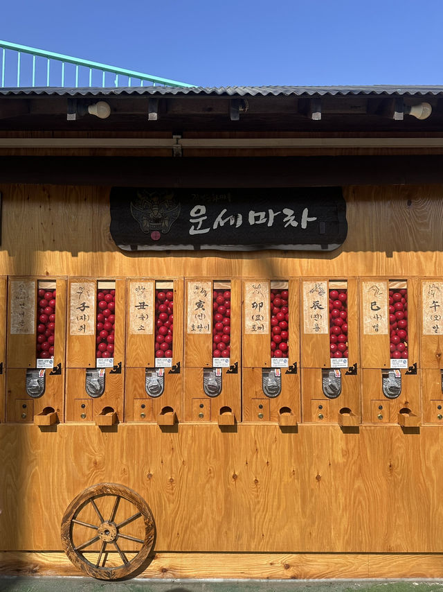 韓国🇰🇷釜山　甘川文化村にある12支占いガチャ♡