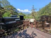 #八仙山國家森林遊樂區- 臺中市和平區