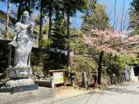 【日本三大天狗】6.5mの天狗面と10年に一度の大開張
