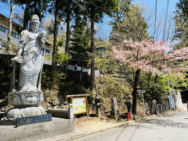 【日本三大天狗】6.5mの天狗面と10年に一度の大開張