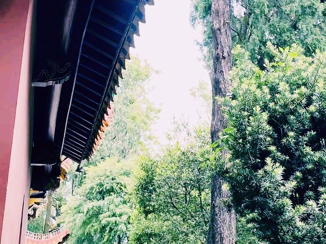 中國湖南衡陽寺廟景點：南嶽大廟，適合打卡拍照📸