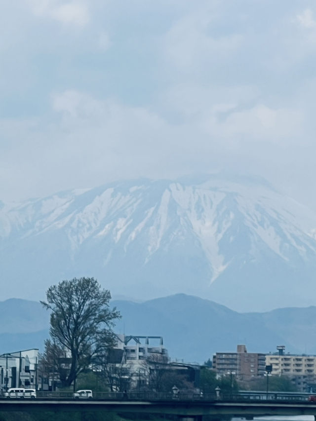 盛岡木伏綠地