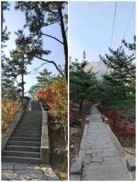 嶗山仰口&太清景區看天海一色