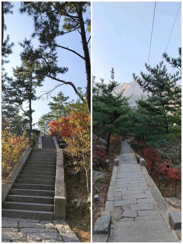 嶗山仰口&太清景區看天海一色