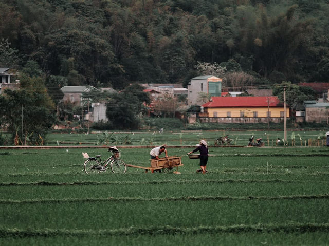 Tây bắc