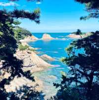 三連島綠地開放共享區
