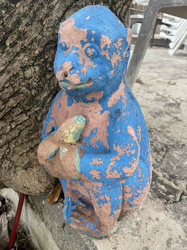 美劇迷 《白蓮花》蘇梅島五日遊