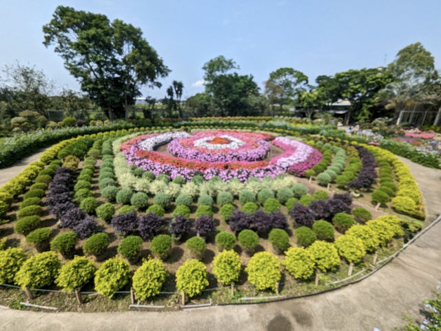 日踏桐花毯，夜數螢火星的西湖渡假村