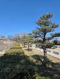 A Majestic Journey Through Time: Osaka Castle