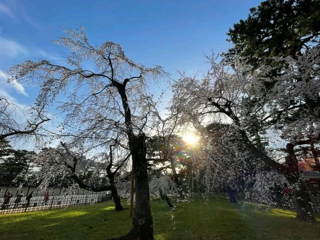 Green Spaces, Kyoto Gyoen is the Perfect Escap