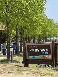 서울근교데이트 구리한강시민공원 봄꽃나들이🌼