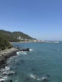 해운대의 해외감성🤍🌊🐟🐡