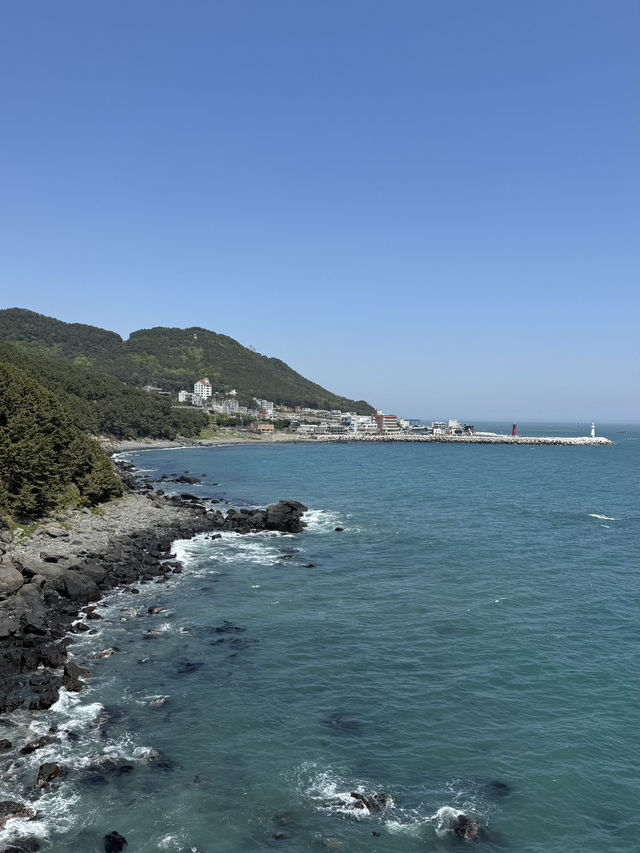 해운대의 해외감성🤍🌊🐟🐡